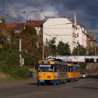 Tatra-Trakt auf Linie 8