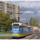 Tatra und Platte