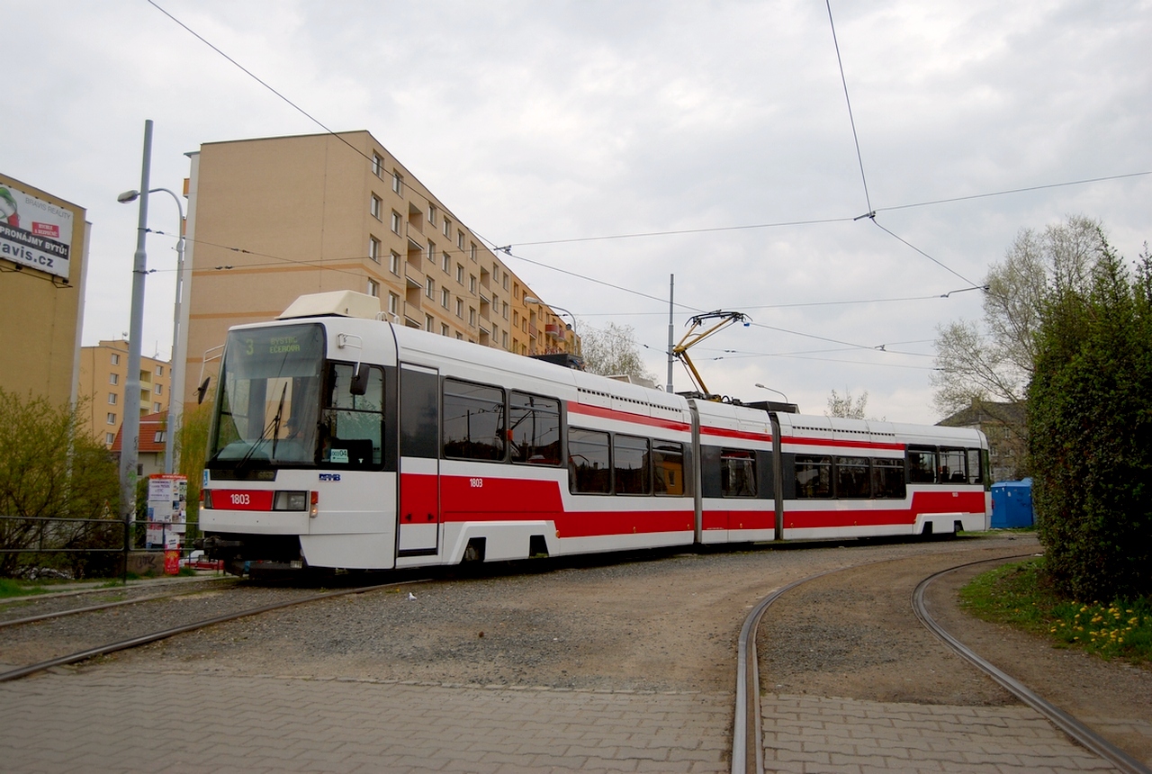 Tatra und Platte ?