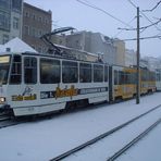 Tatras im Schnee (1)