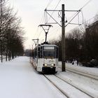 Tatras im Schnee (5)