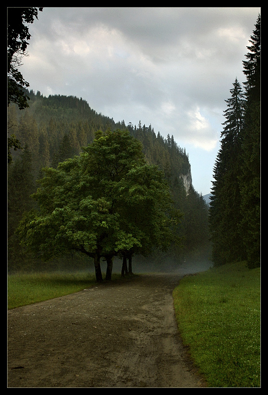 Tatry '06