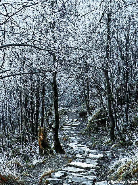 Tatry