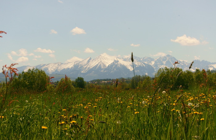 Tatry