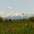 Tatry