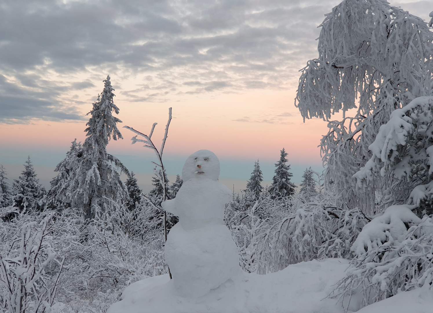 Tatsächlich Winter