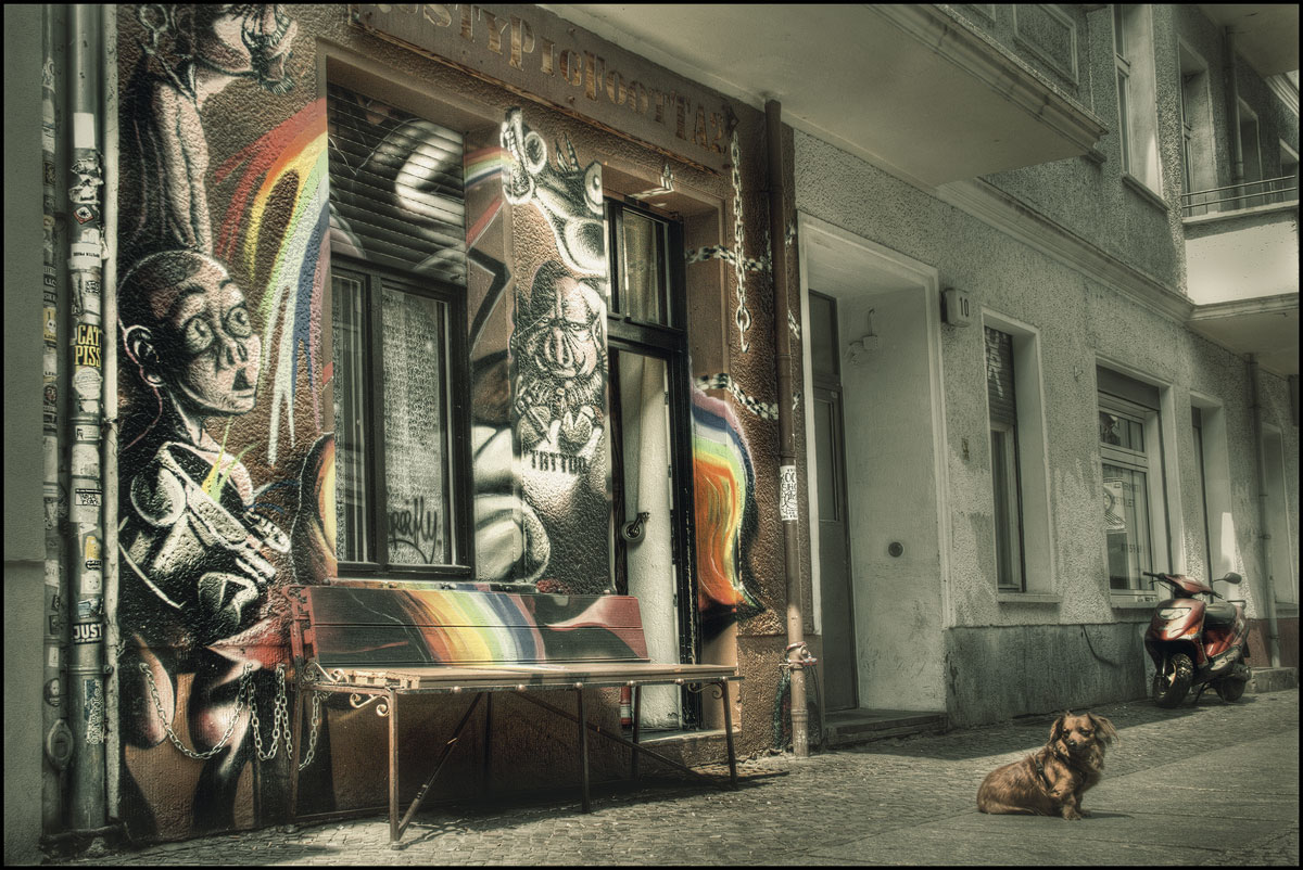 Tattoo Dackel Foto &amp; Bild street, spezial, sommer Bilder auf