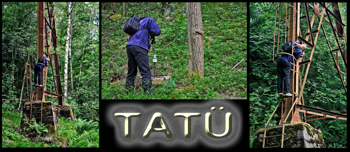 tatü