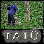 tatü