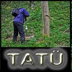 tatü