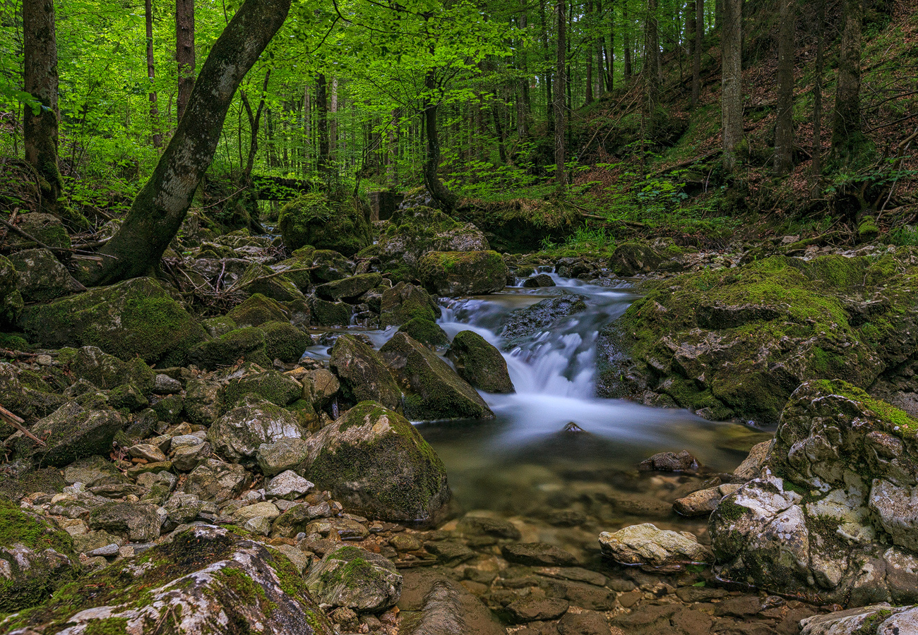 Tatzelwurm Foto &amp; Bild | landschaft, bach, fluss &amp; see, bachläufe ...
