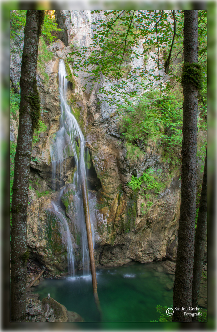 Tatzelwurm Oberbayern