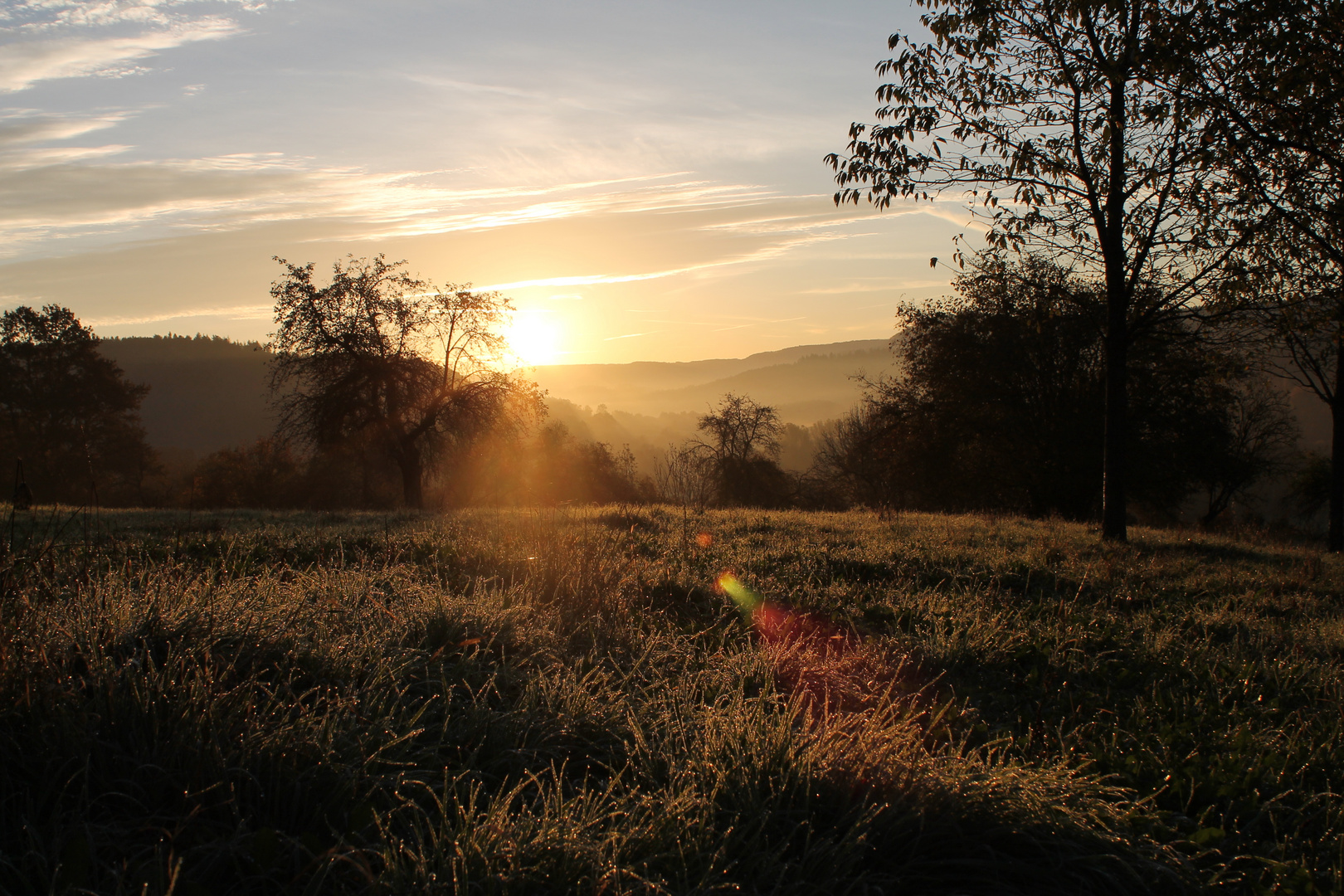 Tau beim Sonnenaufgang