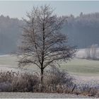 Tau-Ende Landschaft... (m. Analysen und Deutungen)