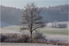 Tau-Ende Landschaft... (m. Analysen und Deutungen)