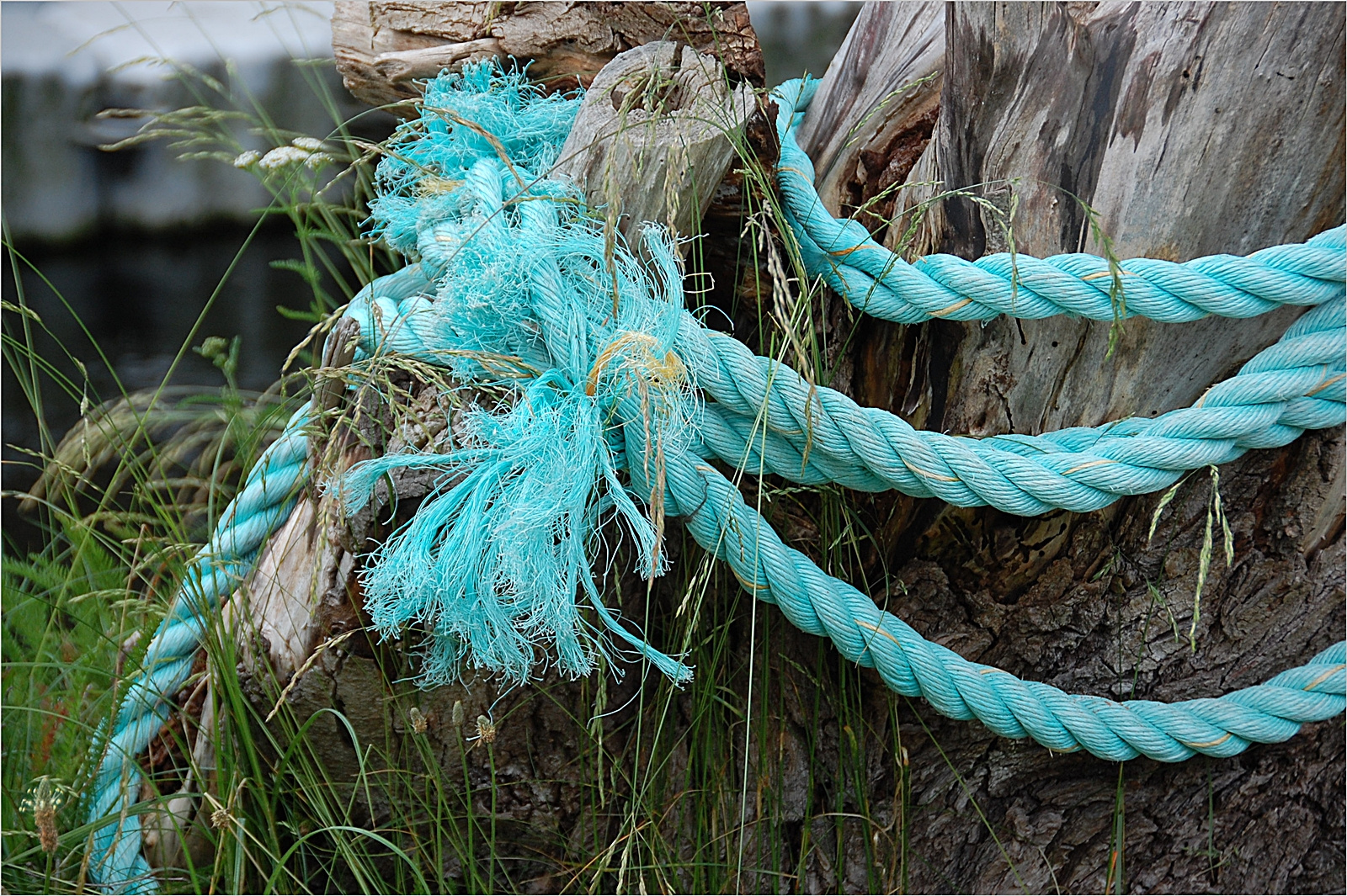 Türkis Bilder: Tauche ein in die Welt der Farben und Kreativität!