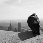 Taube auf dem Empire State Building/ New York