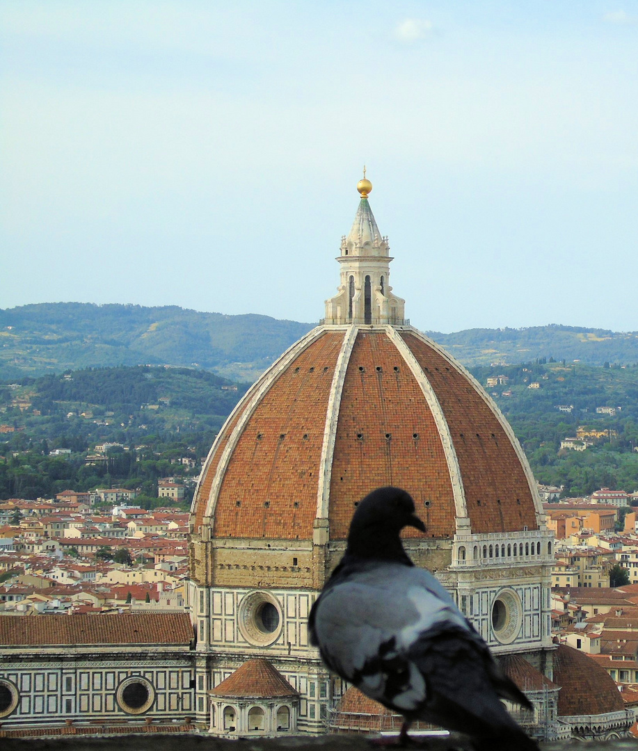 Taube ohne Blick für den Dom von Florenz