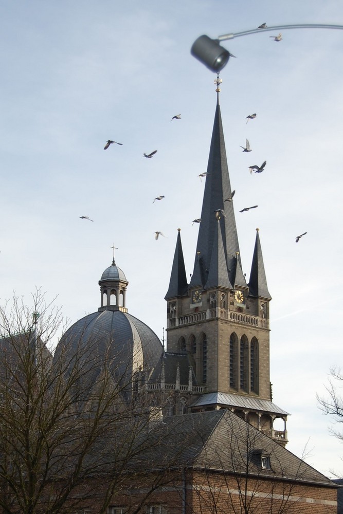 Tauben am Aachener Dom