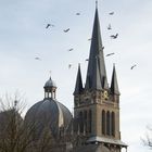 Tauben am Aachener Dom