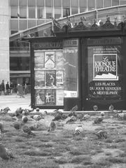 Tauben am Tour Montparnasse