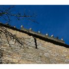 Tauben auf der Stadtmauer