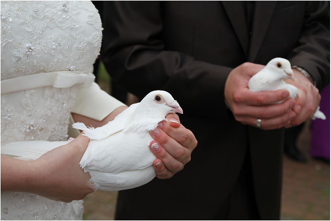 Tauben für's Glück 2 Foto & Bild hochzeit, menschen Bilder auf