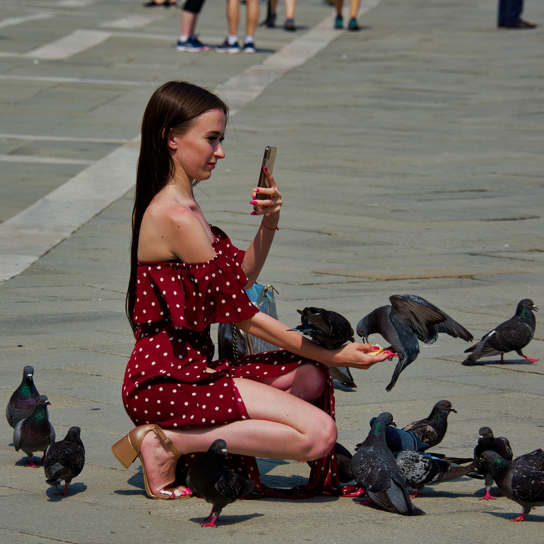 Tauben füttern auf dem Markusplatz