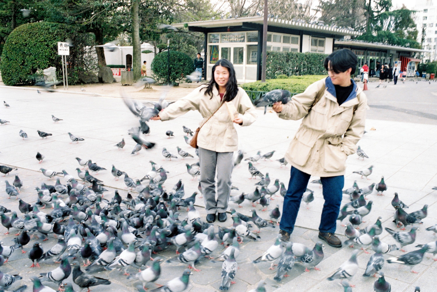 Tauben füttern im Hiroshima Peace Memorial Park (2)