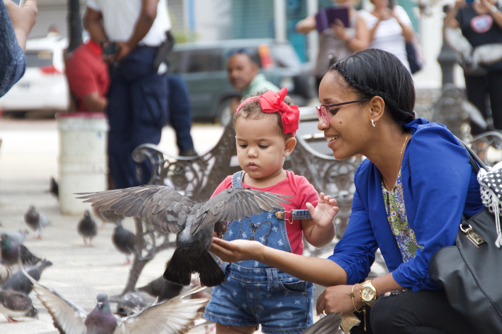 Tauben füttern im Parque Central Puerto Plata