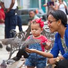 Tauben füttern im Parque Central Puerto Plata