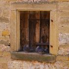 Tauben im Fenster