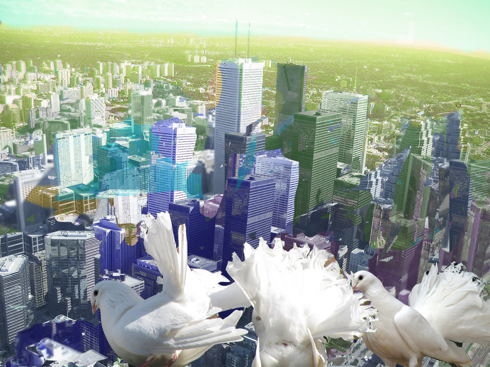 Tauben über den Dächern einer Großstadt denken über ihren Einsatz als Friedenstaube nach