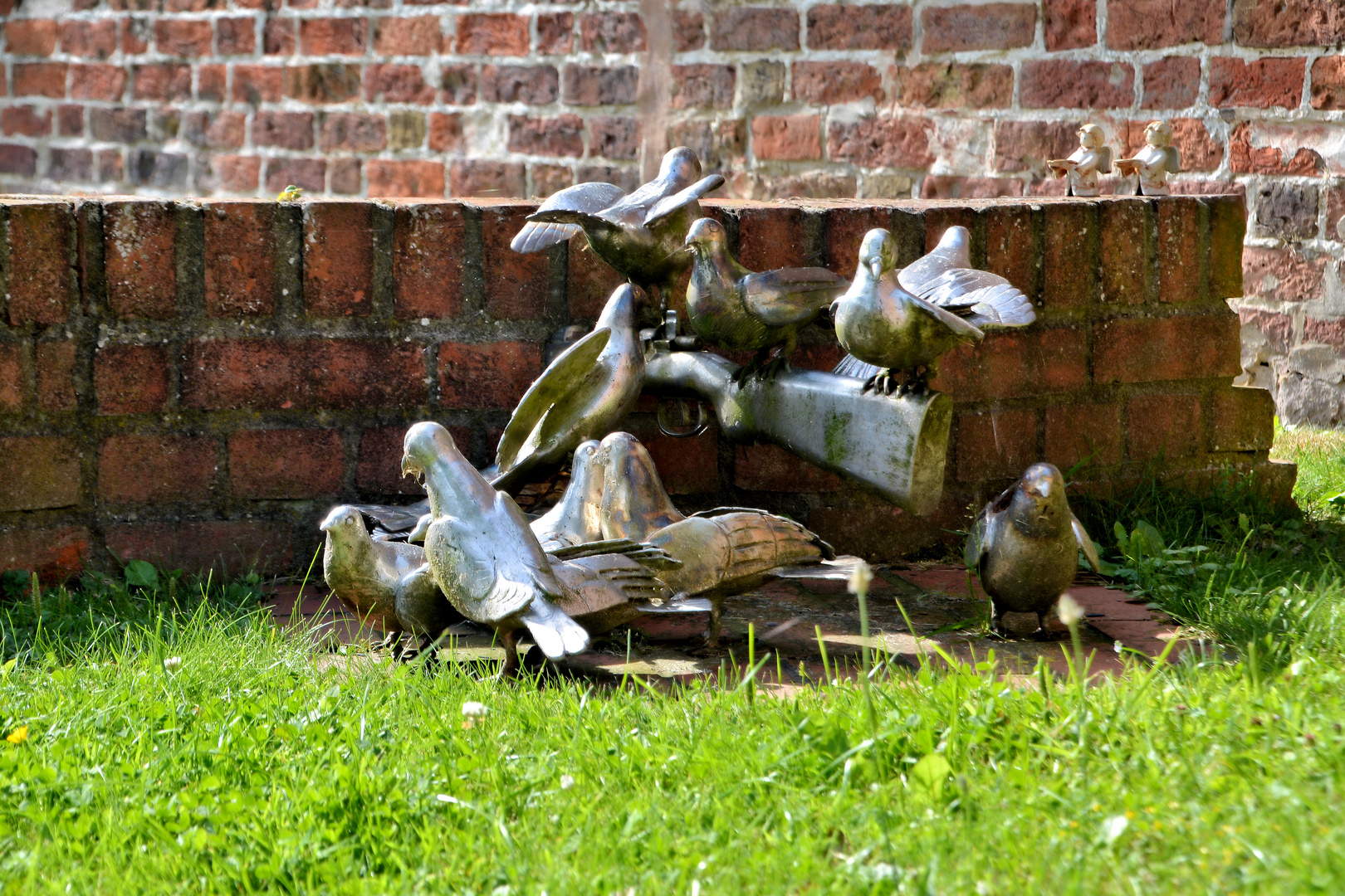 Tauben vor Sankt Pankratius in Oldenswort / Friesland