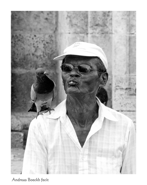 Taubenfreund - amigo de las palomas