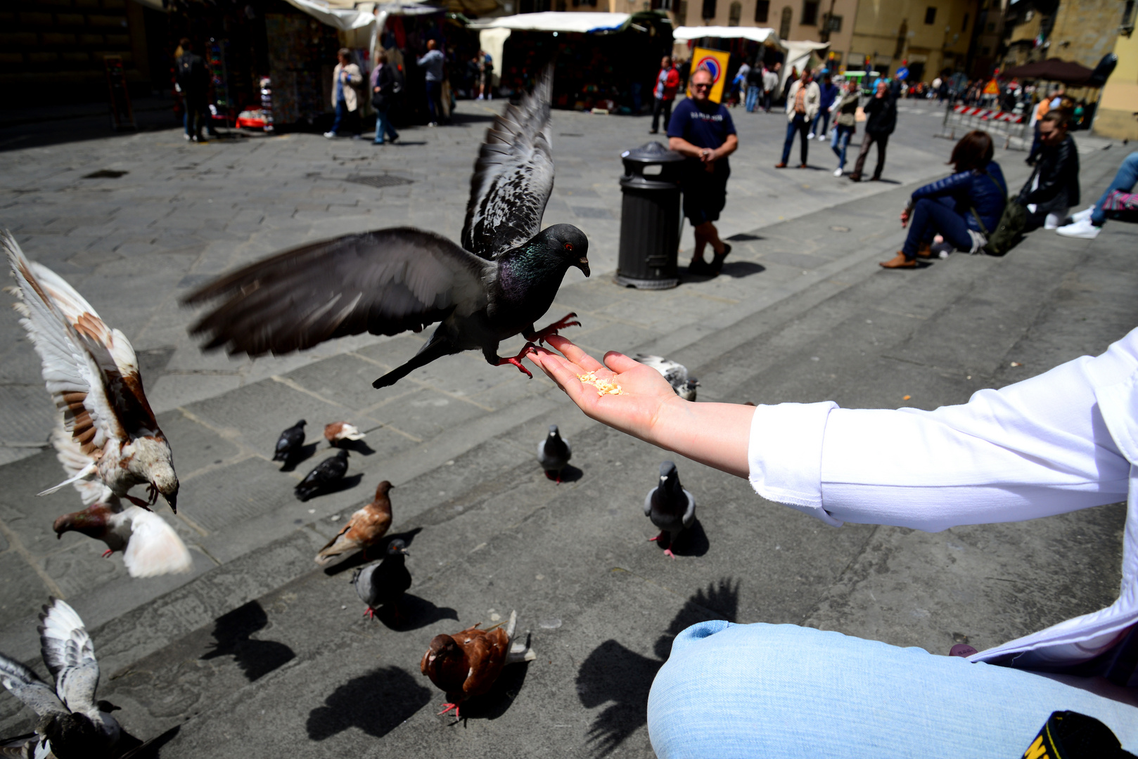 Taubenfütterung in Florenz