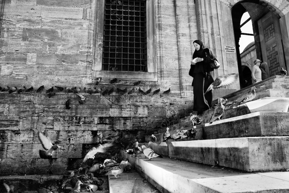 Taubenfütterung in Istanbul