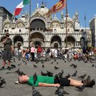 Taubenfütterung in Venedig