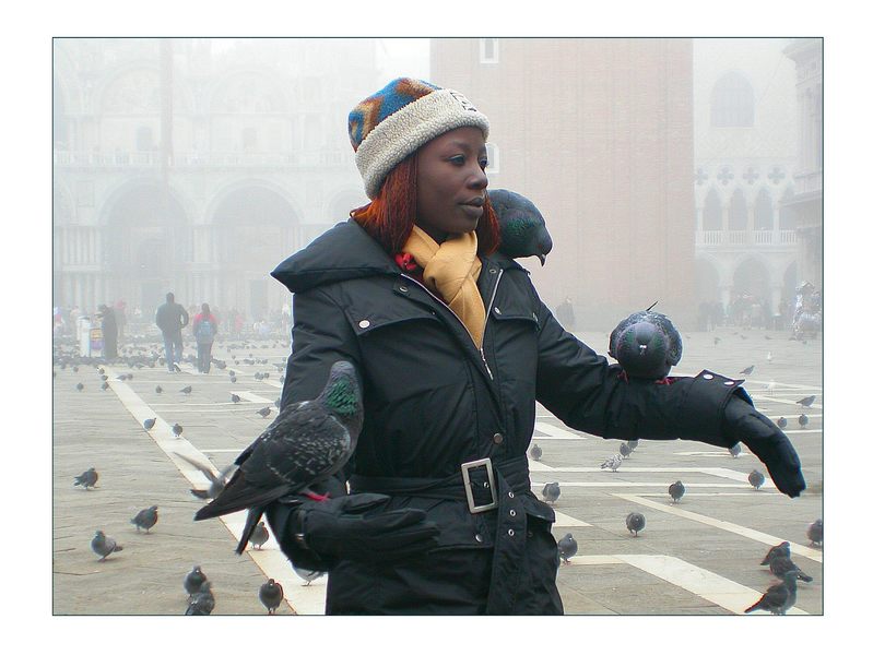 Taubenfütterung (Venedig Markusplatz)