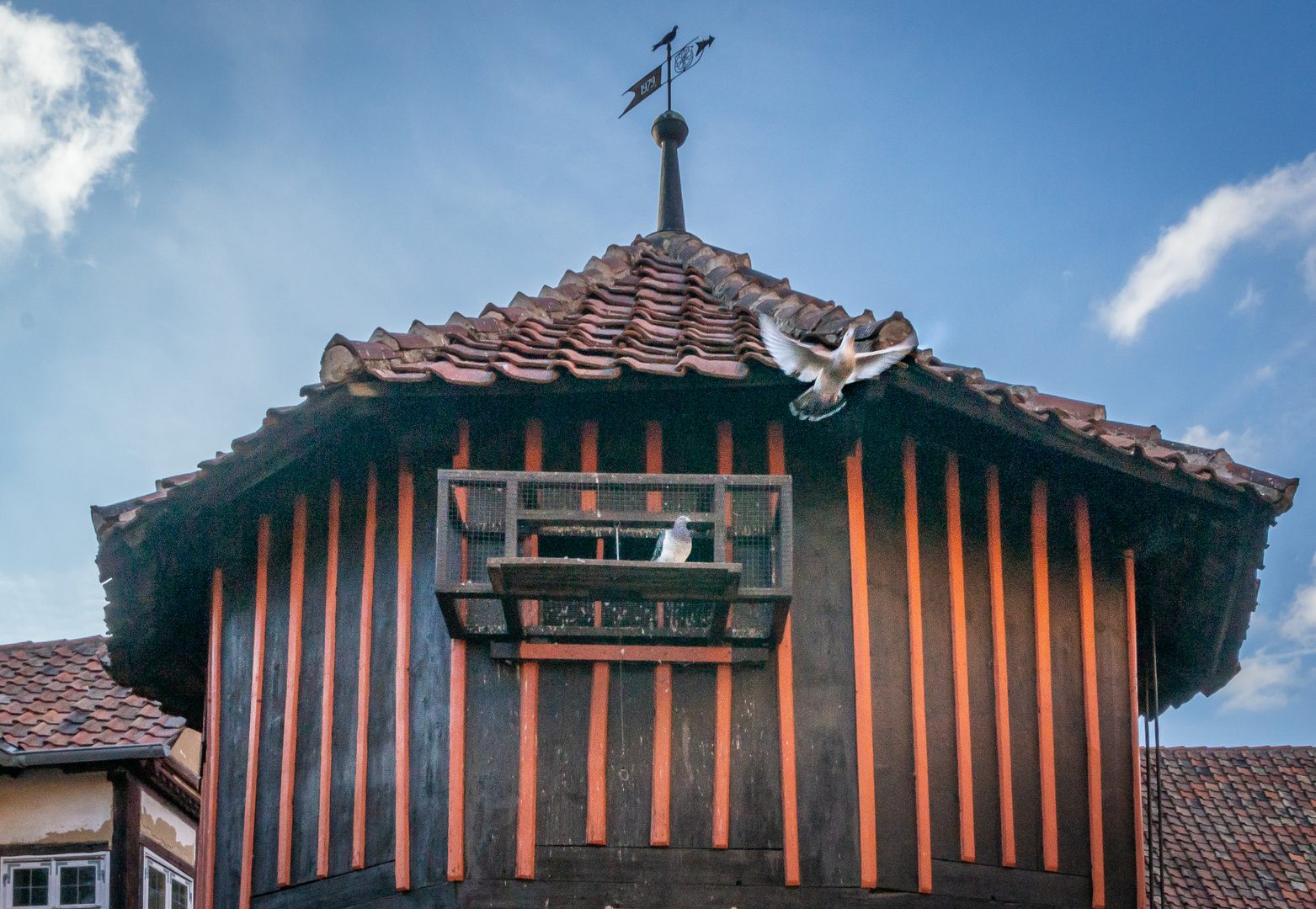 Taubenhaus im Schäfershof - Osterwieck/Harzvorland