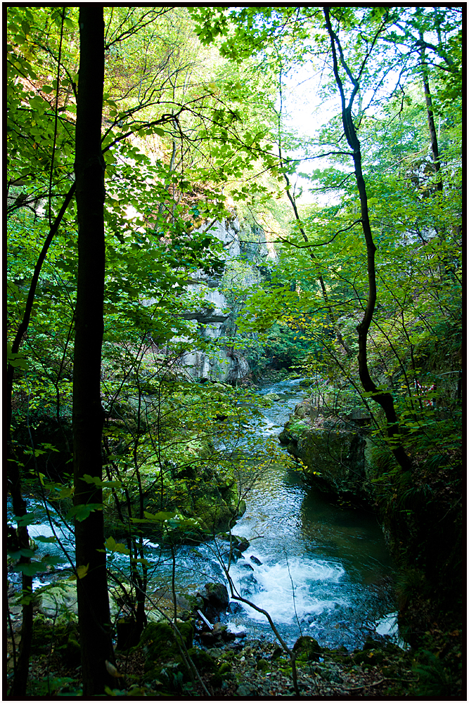 Taubenlochschlucht