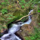 Taubenlochschlucht - CH