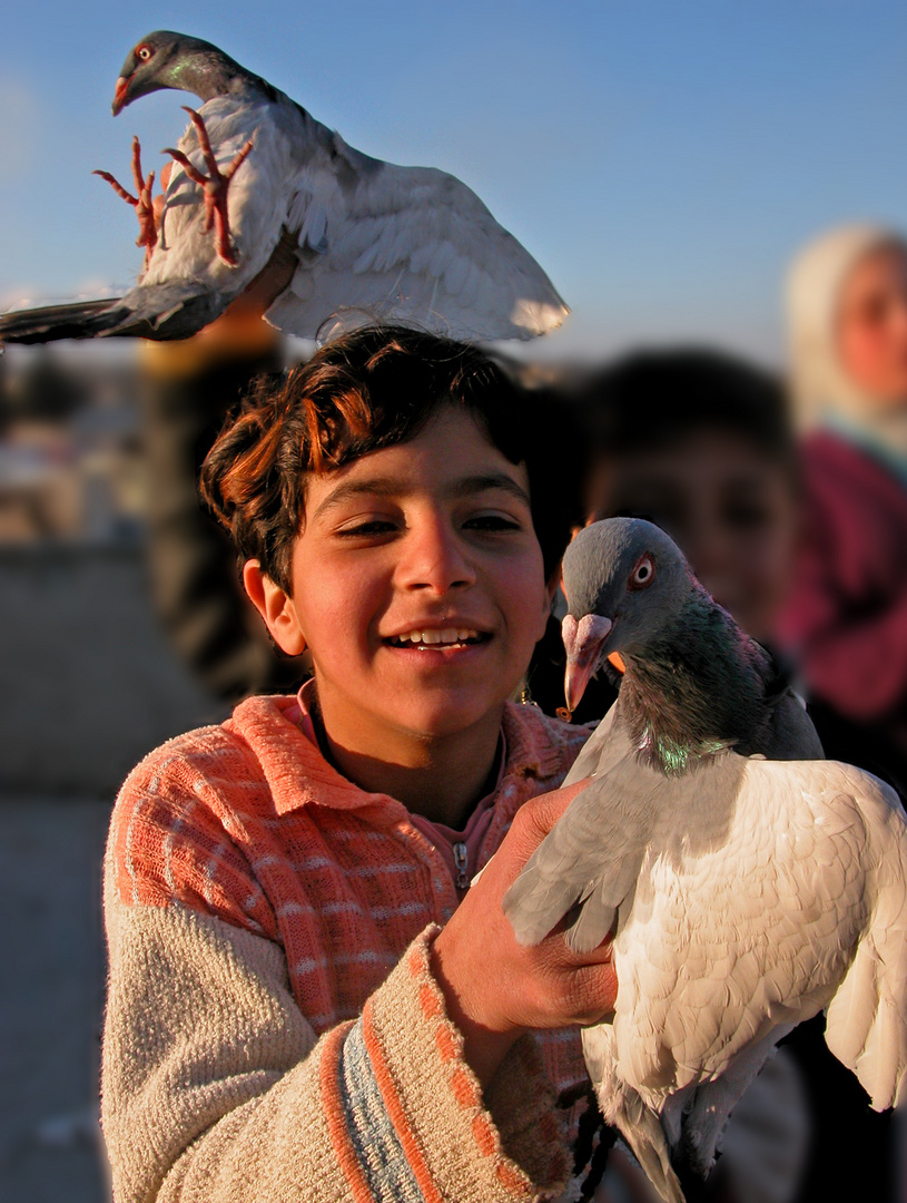 Taubenmädchen - Auf einem Dach in Rastan (Syrien)