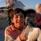 Taubenmädchen - Auf einem Dach in Rastan (Syrien)