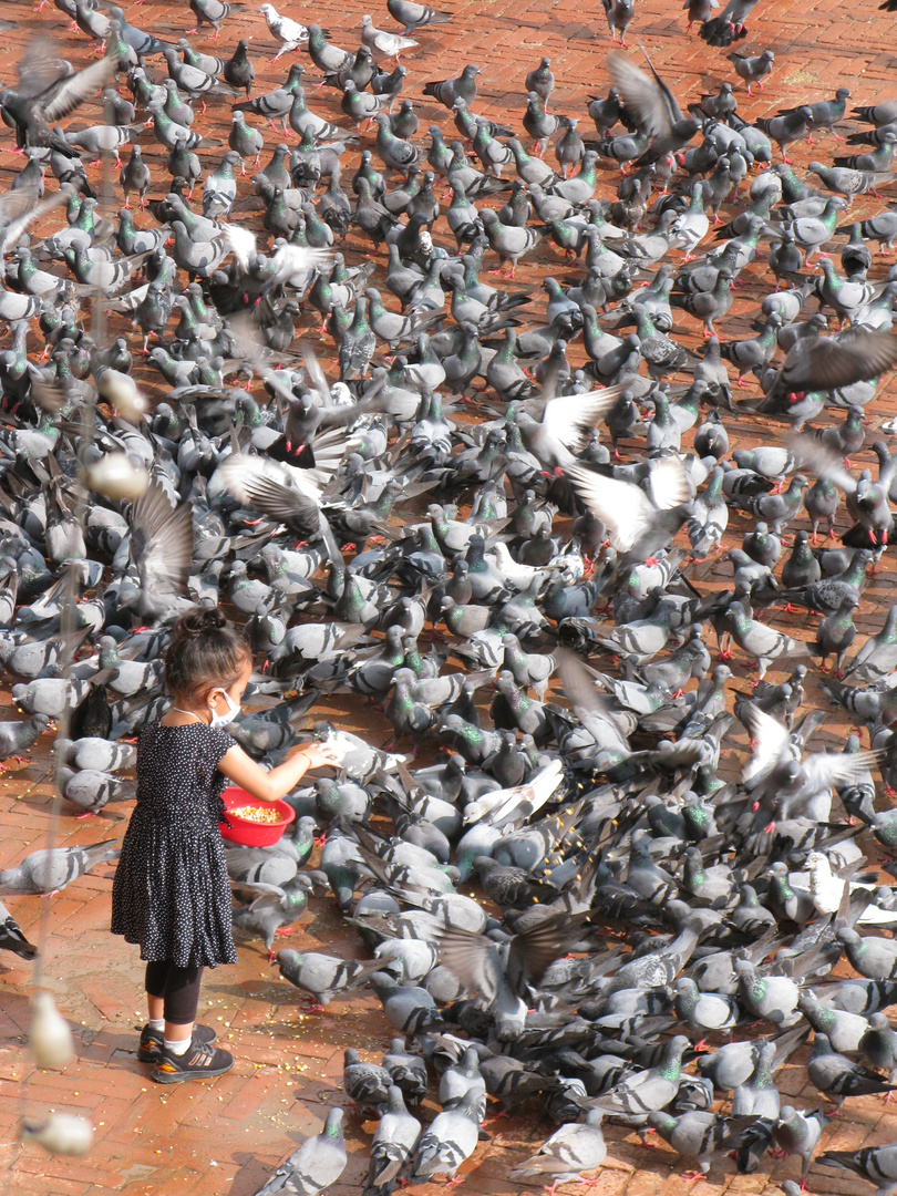 Taubenmädchen in Kathmandu