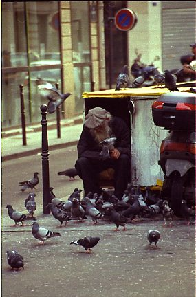 taubenmann in paris