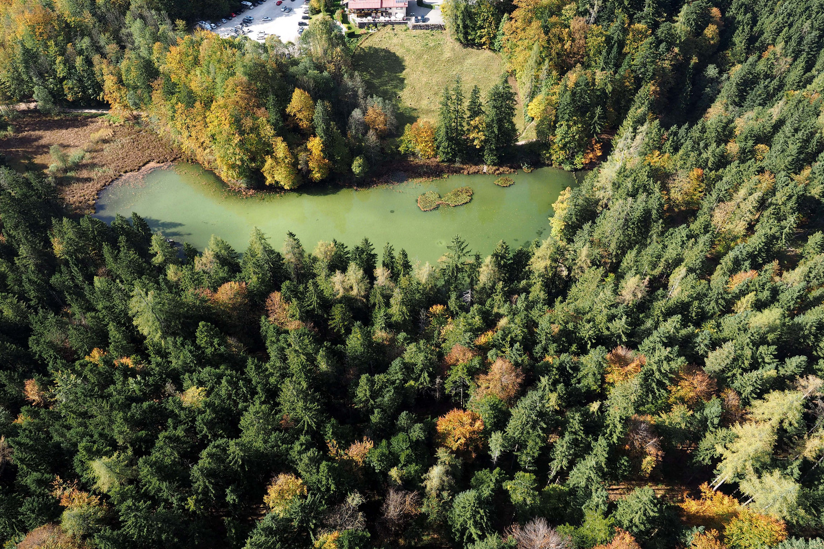 Taubensee