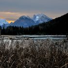 Taubensee