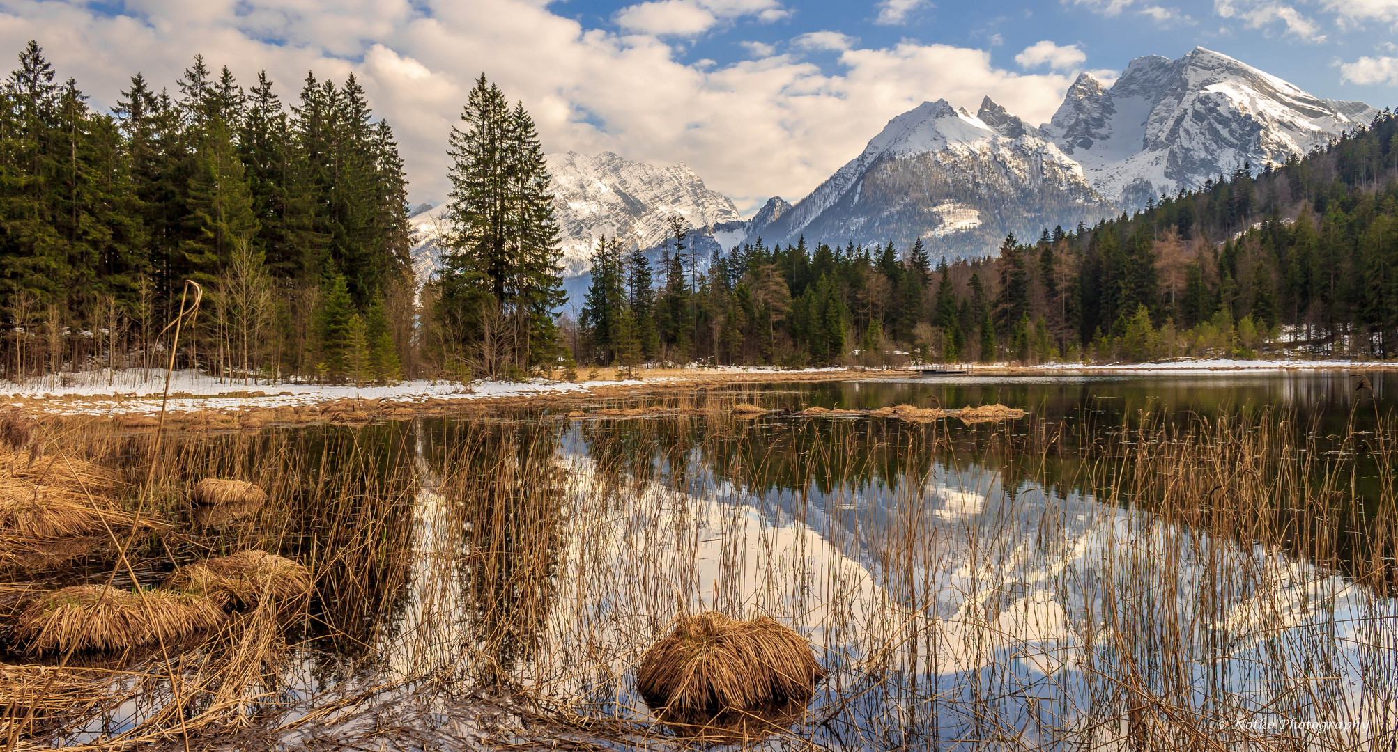 Taubensee