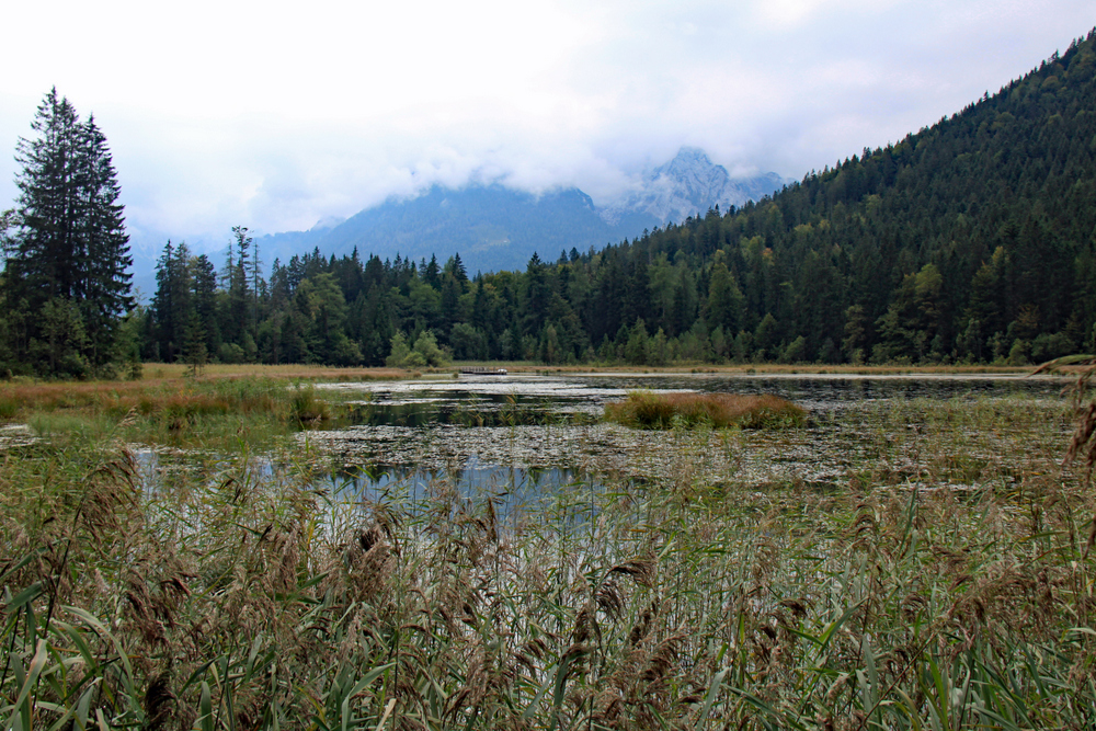 Taubensee